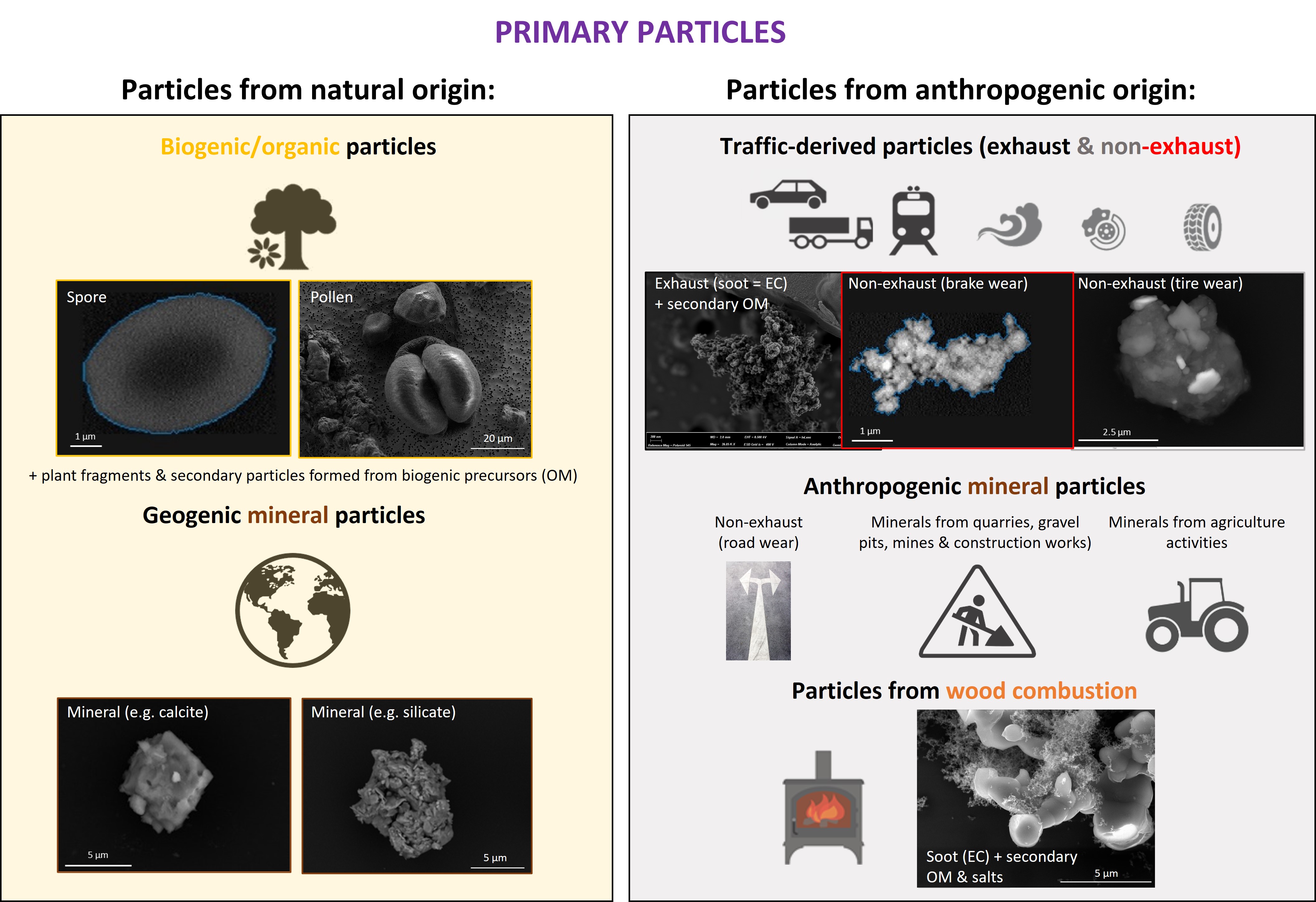 Particle vision gmbh what are pm10 and pm2 5 composed of 